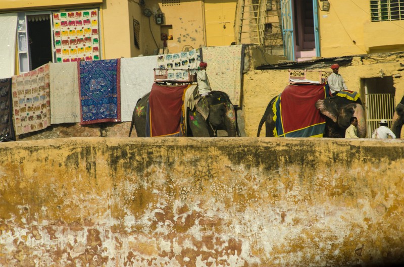 Indien_755.jpg - (C) Peter Graefling 2012