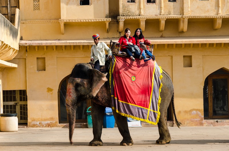 Indien_757.jpg - (C) Peter Graefling 2012