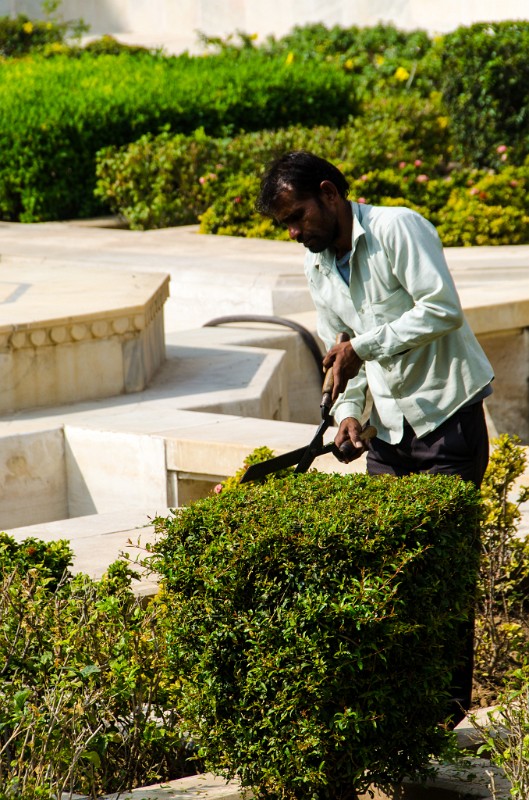 Indien_772.jpg - (C) Peter Graefling 2012