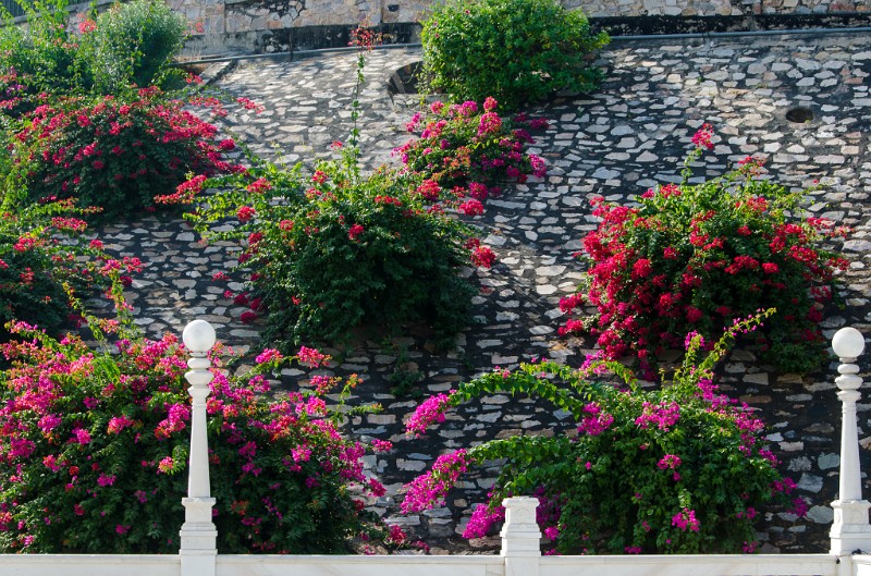 Indien_818.jpg - (C) Peter Graefling 2012