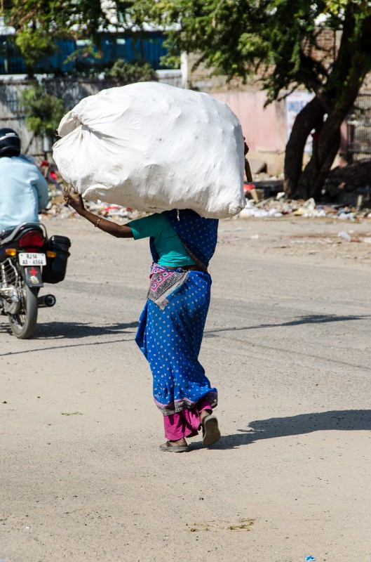 Indien_821.jpg - (C) Peter Graefling 2012