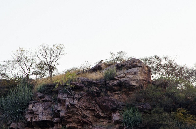 Indien_829.jpg - (C) Peter Graefling 2012