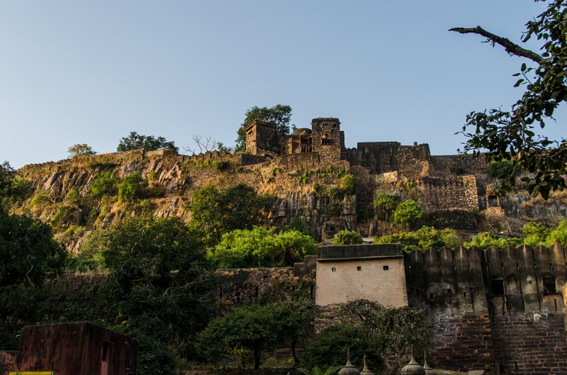 Indien_835.jpg - (C) Peter Graefling 2012