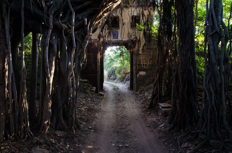 Indien_837.jpg - (C) Peter Graefling 2012