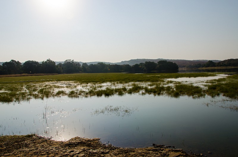 Indien_845.jpg - (C) Peter Graefling 2012