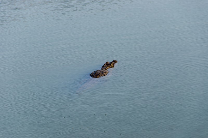 Indien_851.jpg - (C) Peter Graefling 2012