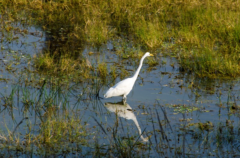 Indien_852.jpg - (C) Peter Graefling 2012