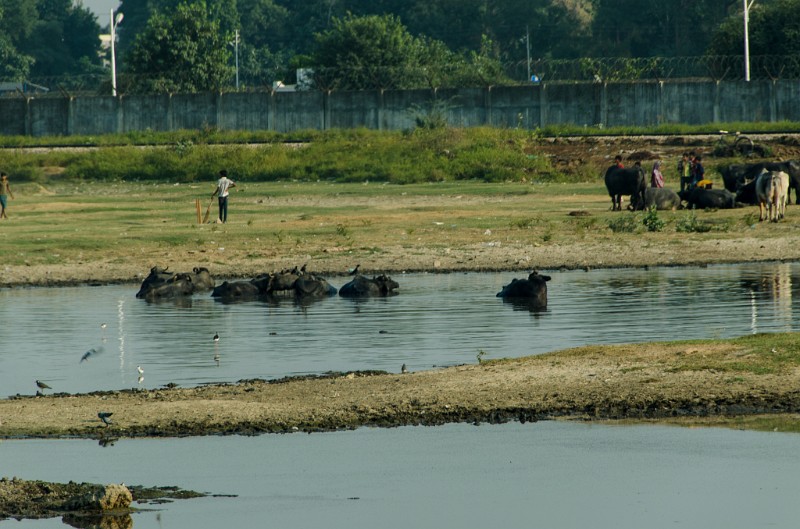 Indien_890.jpg - (C) Peter Graefling 2012