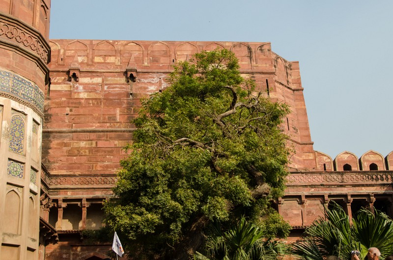 Indien_922.jpg - (C) Peter Graefling 2012