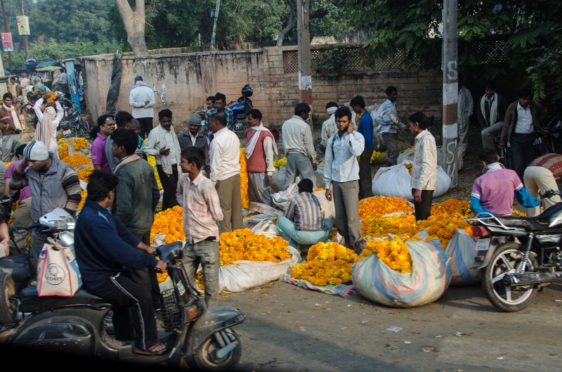 Indien_943.jpg - (C) Peter Graefling 2012