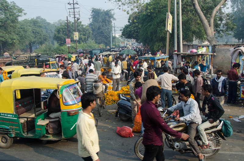 Indien_944.jpg - (C) Peter Graefling 2012