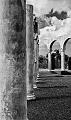 _DSC4248sw
