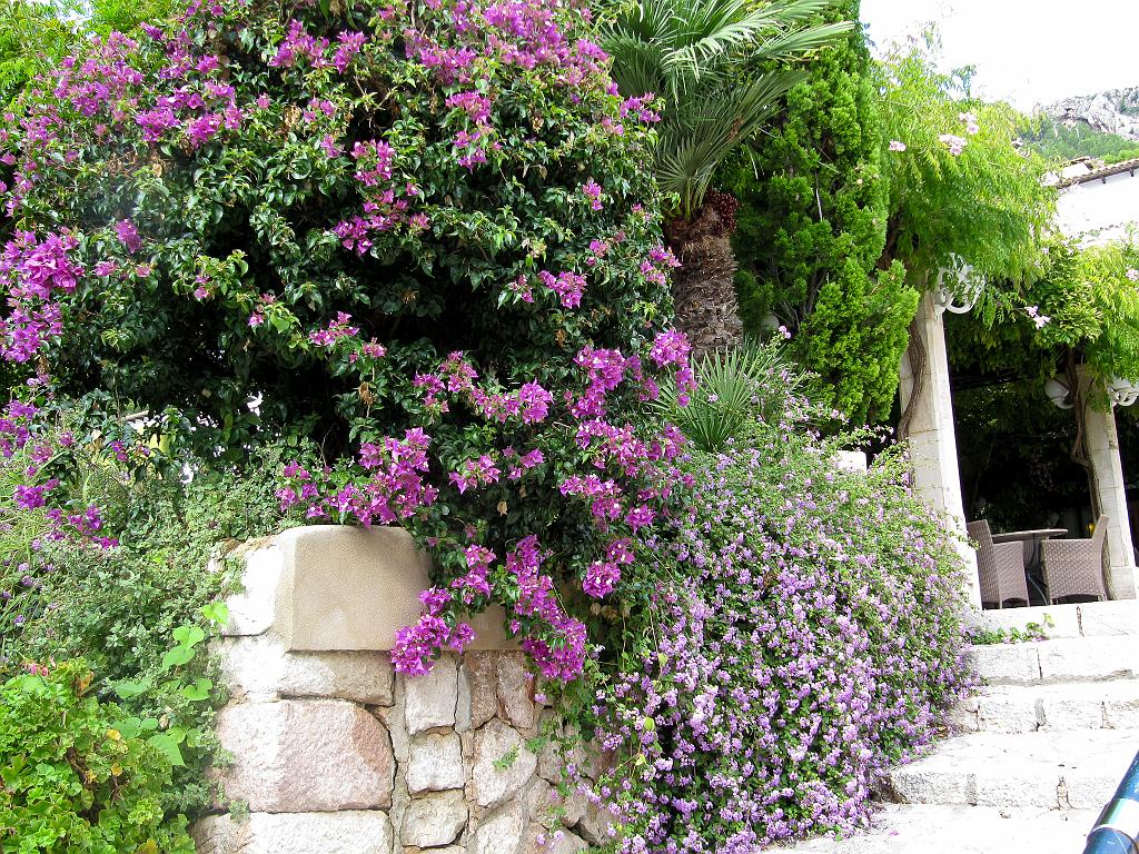 Mallorca_246.jpg